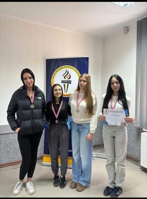 Županijsko natjecanje u šahu